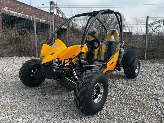 Junior 200cc Buggy 8" Alloy Wheels 13.5hp (kids/adults) 2025 Spec