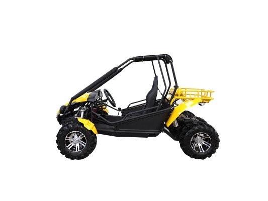 Budget GY6 Kids 150cc Buggy