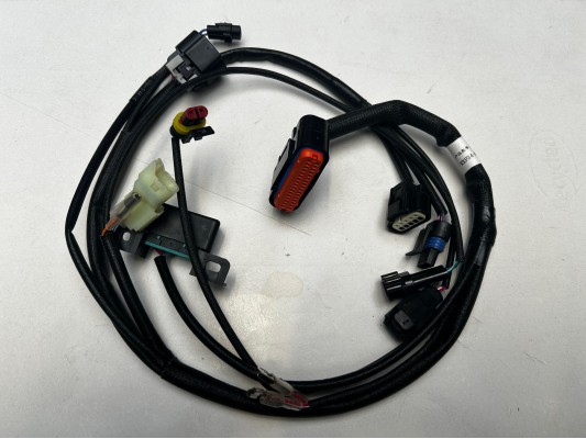 RASCAL 325cc EFI ECU Wiring Harness