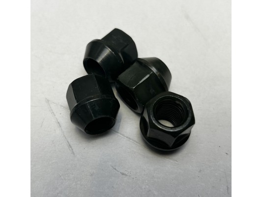 RASCAL Wheel Nuts M10