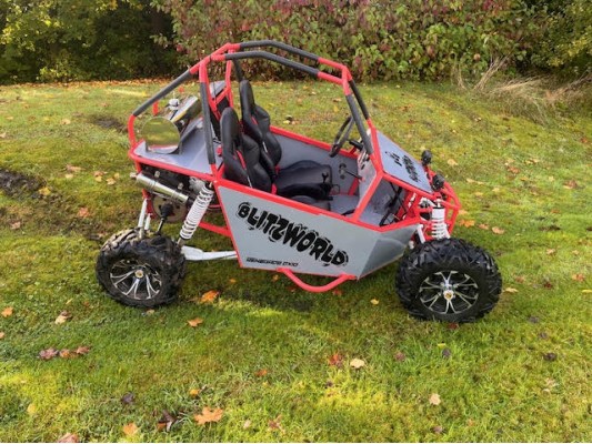 Renegade DX10 (Auto) buggy 300cc (USED) (DM)