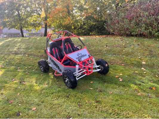 Renegade DX10 (Auto) buggy 300cc (USED) (DM)