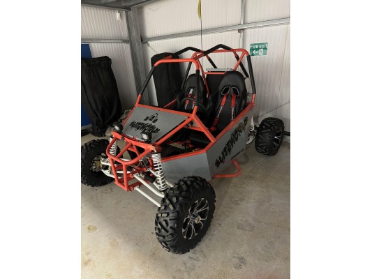 Renegade DX10 (Auto) buggy 300cc (USED) (DM)