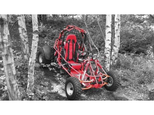 Spider 150cc Single seat Buggy