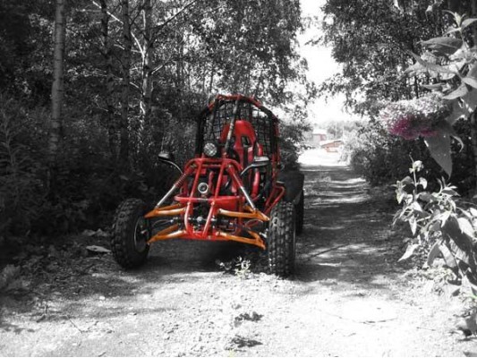 Spider 150cc Single seat Buggy