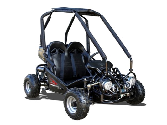 Quadzilla Pitbug 50cc (Kids Buggy age 3-8)