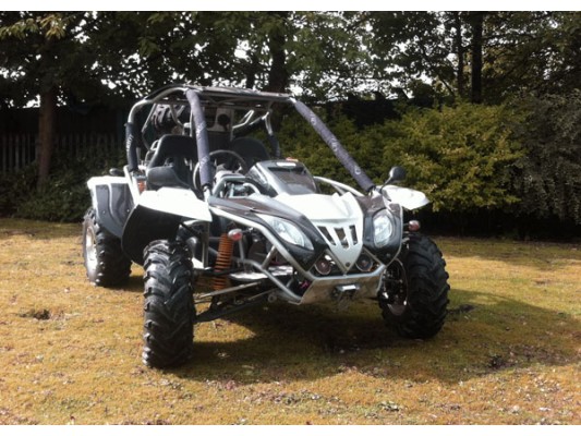 RL500 Road Legal Buggy - FOR SALE (PH)