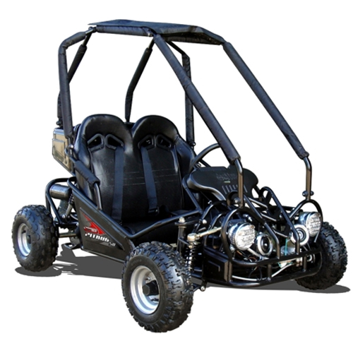 Quadzilla Pitbug 50cc, kids off road buggy