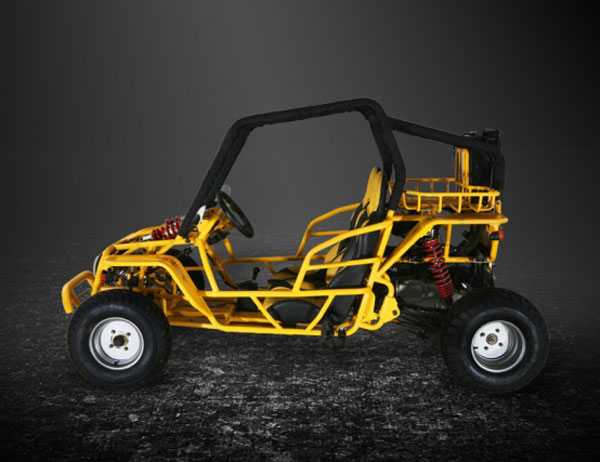 rlbuggy2013-1.jpg