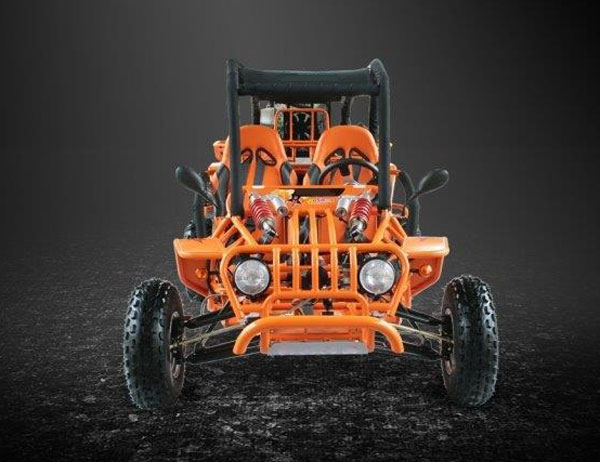 rlbuggy2013-2.jpg